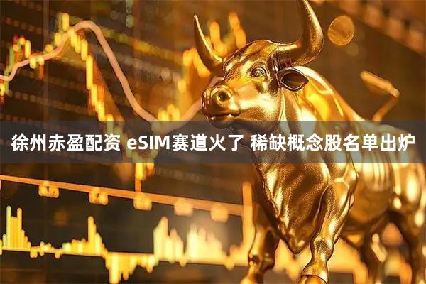 徐州赤盈配资 eSIM赛道火了 稀缺概念股名单出炉