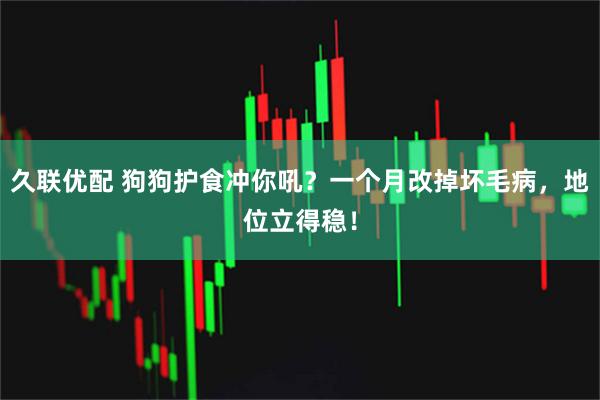 久联优配 狗狗护食冲你吼？一个月改掉坏毛病，地位立得稳！