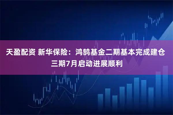 天盈配资 新华保险：鸿鹄基金二期基本完成建仓 三期7月启动进展顺利