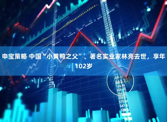 申宝策略 中国“小黄鸭之父”、著名实业家林亮去世，享年102岁