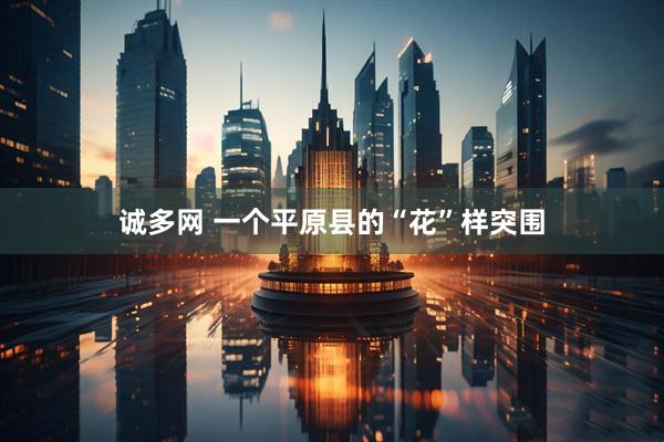诚多网 一个平原县的“花”样突围